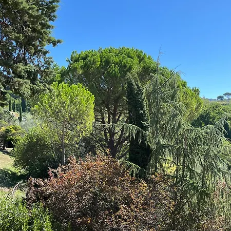 Apartment La Dimora Della Sarta